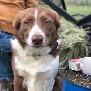 Meet your Posher, Julie